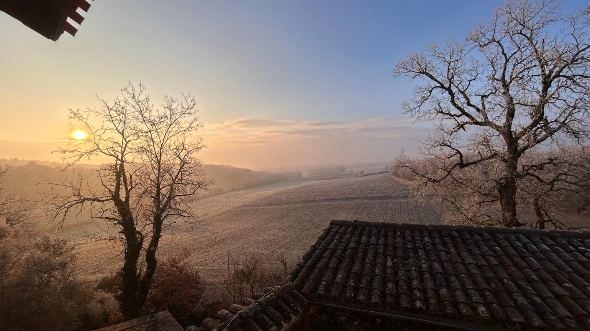 Chambres D'Hotes Dans Un Chateau Au Coeur De La Toscane Occitane Albi-Cordes-Rabastens Senouillac Ngoại thất bức ảnh